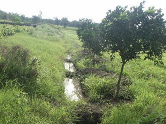 Plugged trenches for water and soil conservation in Bamhani Base Centre